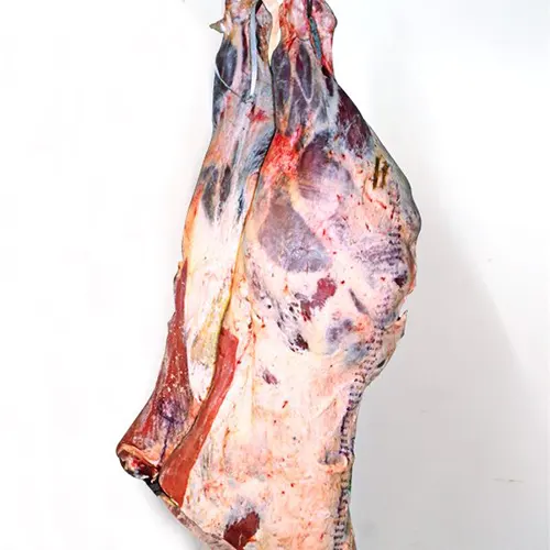 Beef Hind Quarter Suppliers